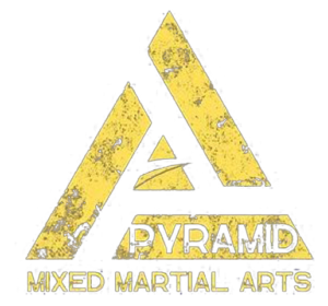 Victus Jiu Jitsu facility image